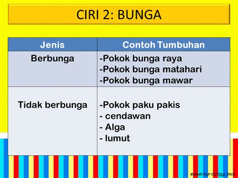 Tanaman ini berasal dari eropa, asia utara dan tengah. Gambar Dunia Sains Teknologi Belajar Ceria Dst 3 Urat Daun ...