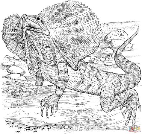 New users enjoy 60% off. Coloring Pages Of A Lizard - Coloring Home