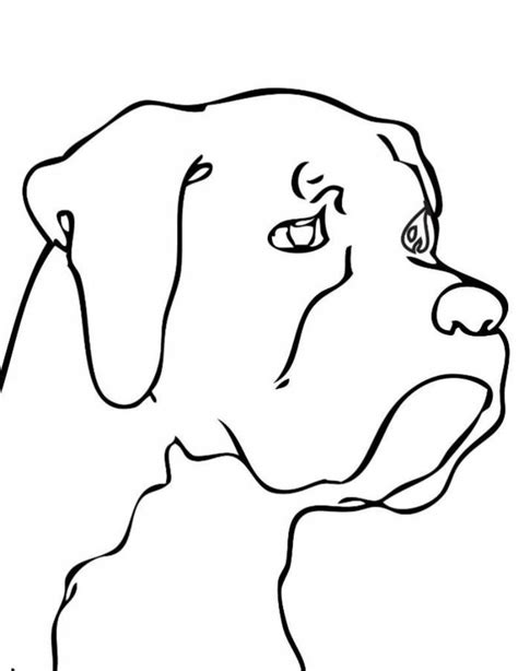 Dogs have been a piece of human culture for a great many years. Simple Dog Face Drawing | Free download on ClipArtMag