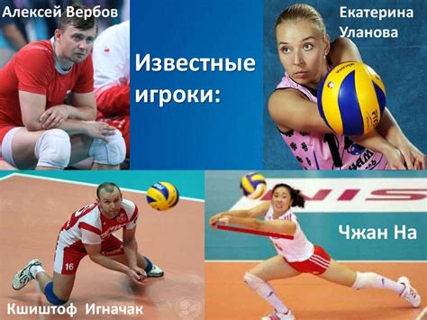 Амплуа в волейболе