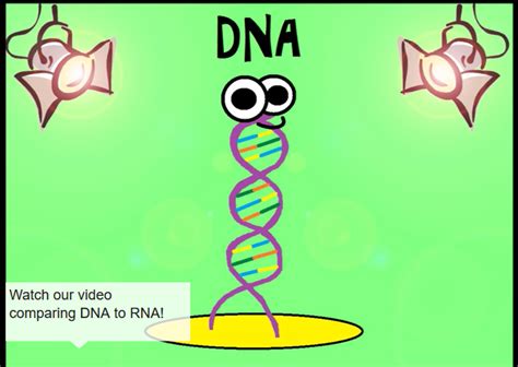 Our 'alleles and genes' video also points out 1. Genetics and Evolution