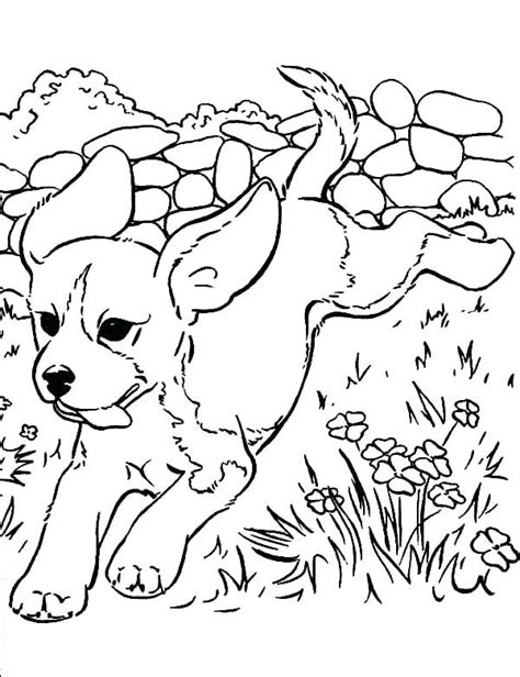 They are much easier to keep up with and everyone loves a cute pup! Coloring pages by Megan Westjohn | Animal coloring pages ...