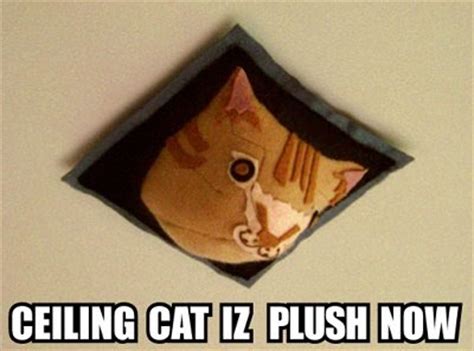 Papercraft #5how to make a ceiling cat papercraftceiling cat is a photoshop meme based on a photograph of a cat peeking through a hole in the ceiling of a. Tubbypaws