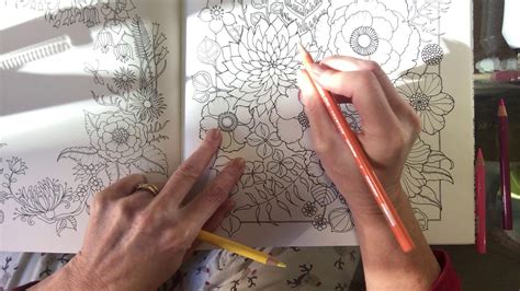 This flip through features the johanna basford's colouring book world of flowers. Johanna Basford World of Flowers - colouring petals made ...