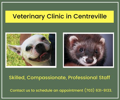 Imagine bringing your pet to your local greenbrae or marin county vet clinic and being greeted with warm smiles, familiar faces and friendly hugs. Deepwood Veterinary Clinic offers you high quality and ...