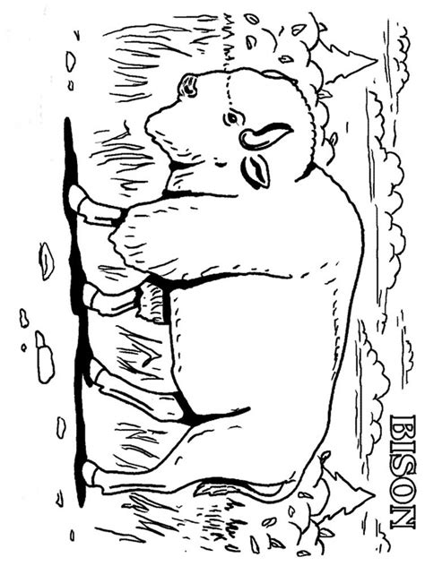 Free printable bison coloring pages for kids! Free Bison coloring pages. Download and print Bison ...