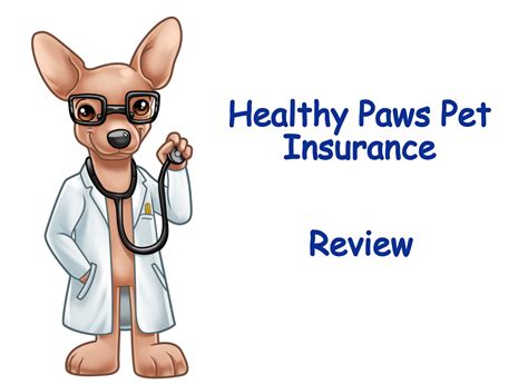 Check out paws pet insurance on search.sidewalk.com. Healthy Paws Pet Insurance Review