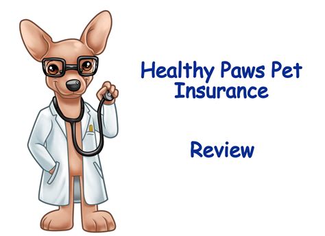 Healthy Paws Pet Insurance Review