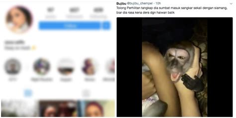 Hallo sobat bakra, bertemu lagi bersama admin yang tentunya selalu membawakan informasi yang akurat, pada kesempatan kali ini admin akan menmbahas tentang video viral tiktok botol viral bangladesh. 'I Tak Cekik, I Just Tekan Dia..'- Teruk Dikecam Kerana ...