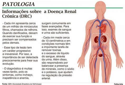 Sintomas, causas da doença, assim como métodos diagnósticos e possíveis tratamentos. EPIDEMIA MUNDIAL - Doença renal crônica avança entre a ...