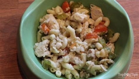 Diabetic diets for dogs that are homemade are created in two different ways: Best Homemade Dog Food Recipe with Chicken and Rice - Top ...