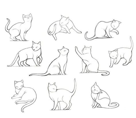 These animal drawings are created in a very basic format designed especially for trainee artists. Animal #study #_ #Cat #basic #animal #drawings, #Animal #Basic #Cat #drawings #Study | Simple ...
