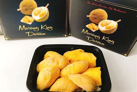 Sầu riêng musang king malaysia 400g có màu vàng nhạt, hạt lép, có vị rất béo, mùi thơm khó cưỡng, kích thích vị giác rất cao, khiến người ăn chỉ. Vì sao sầu riêng Musang King ngon nhất thế giới ...