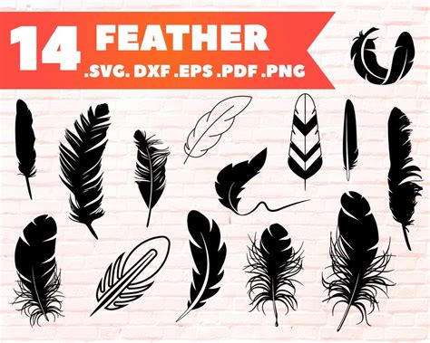 Feather svg, Feather Bundle, Feather Silhouette, Feather Clipart ...