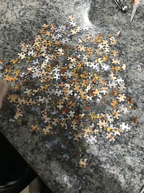 From unbagging to full assembly was easily less than 10 mins. This puzzle came with no edge pieces. : Wellthatsucks