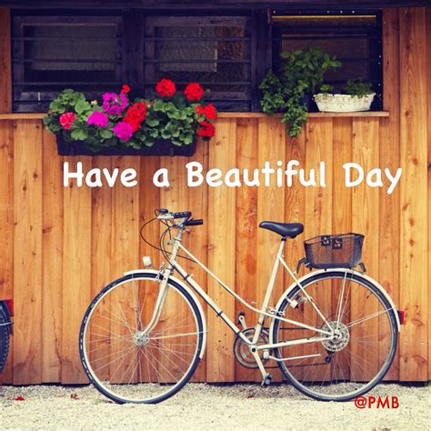 Have a Beautiful day #MyPmb | Have a beautiful day, Beautiful day, Beautiful