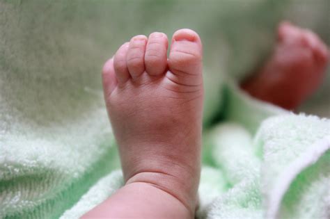 Die katzenbabys lernen, richtig mit ihren krallen und zähnen. Baby Abgeben Ab Wann Fotos | Bero Restaurant