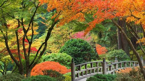 Best japan wallpaper, desktop background for any computer, laptop, tablet and phone. Japanese Gardens Wallpapers - Wallpaper Cave