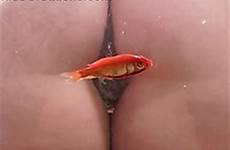 goldfish crush fish sit flv snowflake motherless homemade amateur cc nudevista