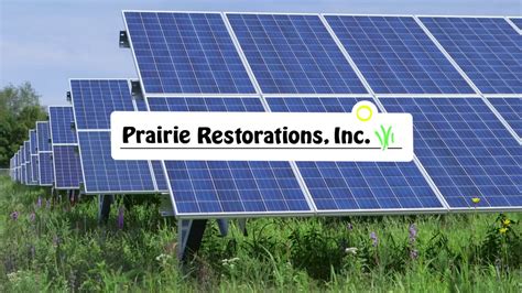 We did not find results for: Restoring Native Prairie Grasses and Flowers under Solar ...