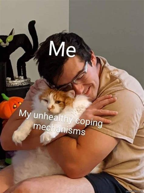 News & world report analyzes thousands of schools to determine the best business schools in the country, and they also keep an eye on which. Cat Memes - MemeZila.com