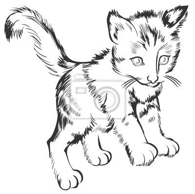 Kotki • kolorowanki • pliki użytkownika bronka.dorcia przechowywane w serwisie chomikuj.pl • kotki.jpg. Rysunek Obraz: Male Kotki Rysunek
