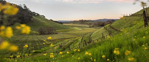 Browse photos, see new properties, get open house info, and research neighborhoods on trulia. Sonoma Vineyards and Wineries for Sale | Real Estate ...