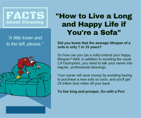 Our technicians identified all messes and then work with you to determine the correct cleaning method. White Glove Cleaning Service Brooklyn NY Blog