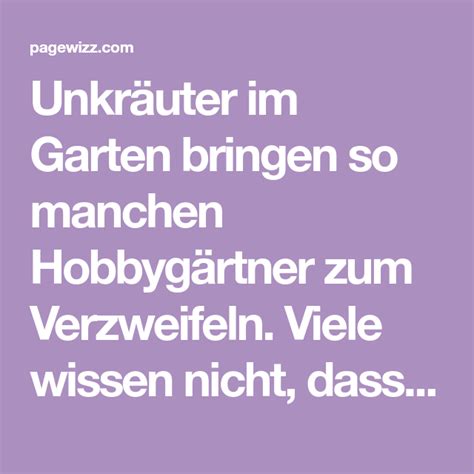 Hallo da muss ich mich ja mal einmischen. Giersch im Garten - Unkraut oder Delikatesse? | Unkraut im ...