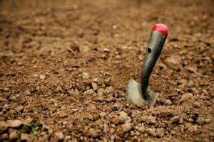 The nails are just to keep your turf from now pull back each piece of turf leaving a couple feet of gravel exposed. How to Install Artificial Turf on Dirt in 11 Easy Steps ...