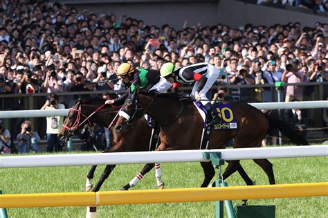 Search the world's information, including webpages, images, videos and more. 第24回 秋華賞 有力馬情報｜GⅠ特集｜競馬予想・競馬情報ならJRA-VAN