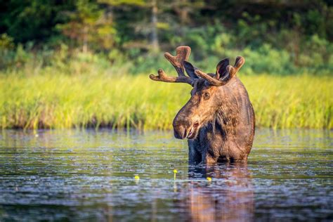 270 photographers from around the world participated in an online photo the celebration of photographer day in the uk is closely connected with various problems of the country's social life. 15 Best Day Trips from Toronto - The Crazy Tourist