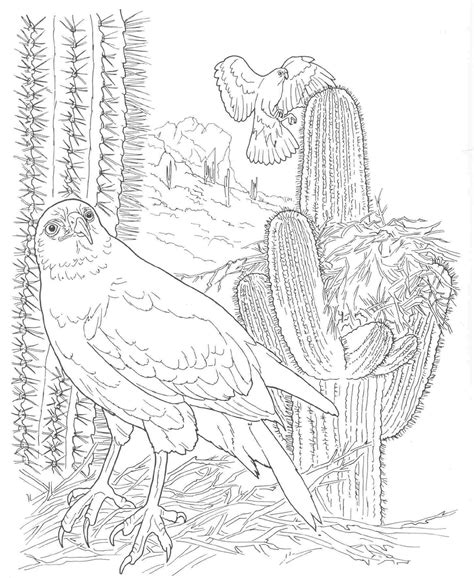 Print free animal coloring pages. Desert Coloring Page - Coloring Home