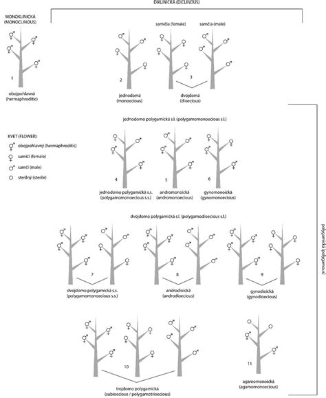 We did not find results for: Classification of plants based on the sexuality of the ...