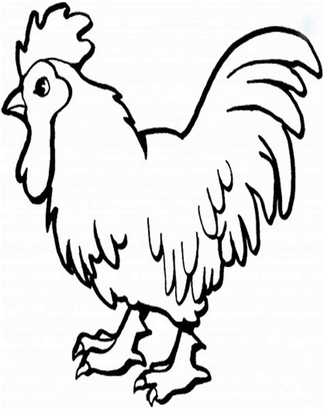 Gambar animasi ayam bertelur terbaik. gambar gambar bagus: Gambar Animasi Ayam Lucu