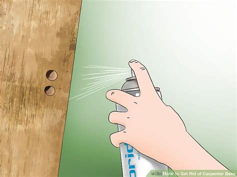 To tell the difference, look at the the male bees guard the holes while the females nest inside the wood. 3 Ways to Get Rid of Carpenter Bees - wikiHow