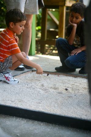 La cobertura más completa de noticias de puerto rico, gobierno, política, legislatura, policía, tribunales y el tiempo. Culmina con éxito casa abierta de juegos tradicionales en ...