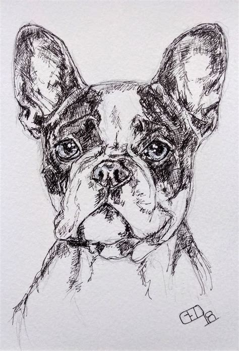 Look at links below to get more options for getting and using clip art. French bulldog pen drawing original pet portrait sketch ...