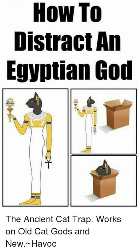 No memes about violent tragedies. How to Distract an Egyptian God the Ancient Cat Trap Works ...