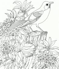 They have immense healing potential! Detailed Landscape Coloring Pages For Adults | Coloring ...