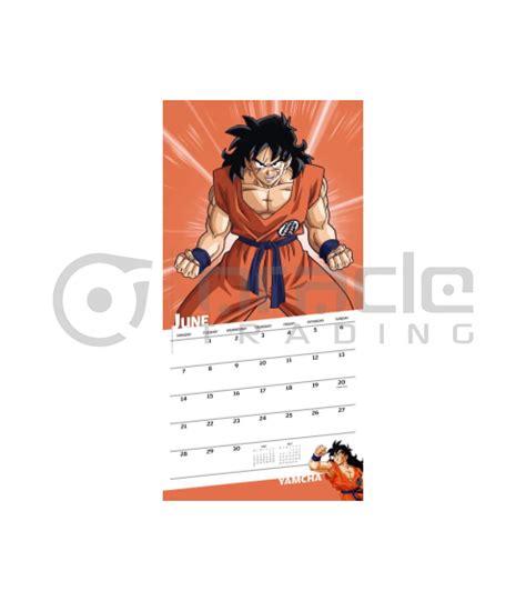 This slim calendar features all your favorite characters from dragon ball super! Dragon Ball Z 2021 Calendar | Oracle Trading Inc.