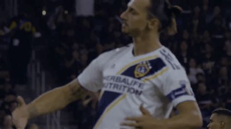Gif bin is your daily source for funny gifs and funny animated pictures! zlatan on Tumblr