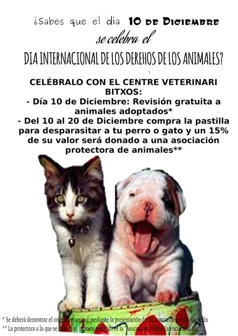 01:31 evento organizado por la facultad de veterinaria de la fes cuautitlan para celebrar el día del veterinario. Clinica Veterinaria Burjassot 961131539 - Centro ...