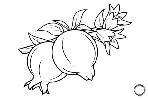 Check spelling or type a new query. 30+ Ide Keren Sketsa Gambar Buah Jambu Air - Tea And Lead
