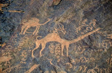 Prince mohammed bin fahd rd abdullah fuad, dammam 32236 saudi arabia. A brief encounter with the camel culture of Saudi Arabia ...