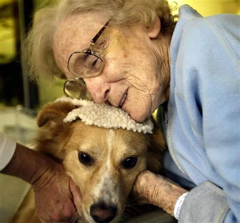 La ricorrenza e' nata nel 2004 negli stati uniti come national dog day. Giornata mondiale del cane: oltre ai "festeggiamenti", il ...