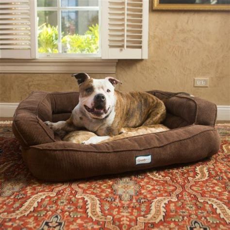 We did not find results for: Extra-Large-Dog-Sofa-Bed-XL-Pet-Furniture-Seat-Comfortable ...