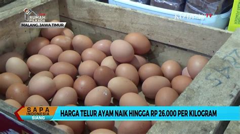 Harga tersebut masih naik sekitar rp 5.000 per ekor. Harga Ayam Potong & Telur di Sejumlah Daerah Naik - YouTube