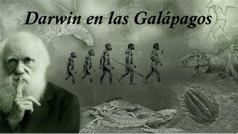 Descent is the passing of information from one generation to the next, and modification precursors of evolutionary thought. Darwin en las Galápagos. - YouTube