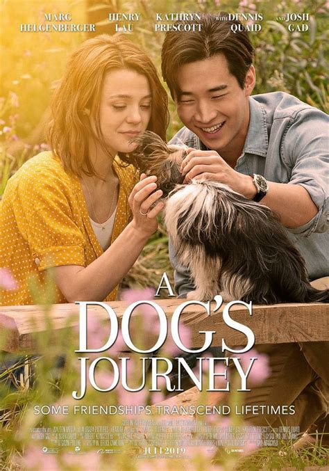 All dogs go to heaven. Mes autres vies de chien - Film 2019 | Cinéhorizons